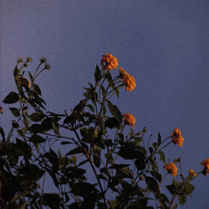 日巨乳AV女优在线播放
